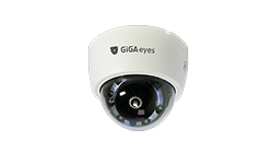 GiGAeyes I-View 1대